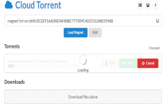Cloud Torrent + Googe Drive 实现离线下载功能
