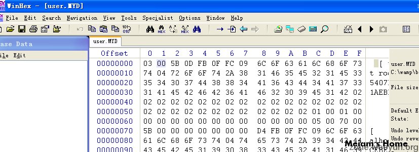 用winhex打开一下user.myd文件